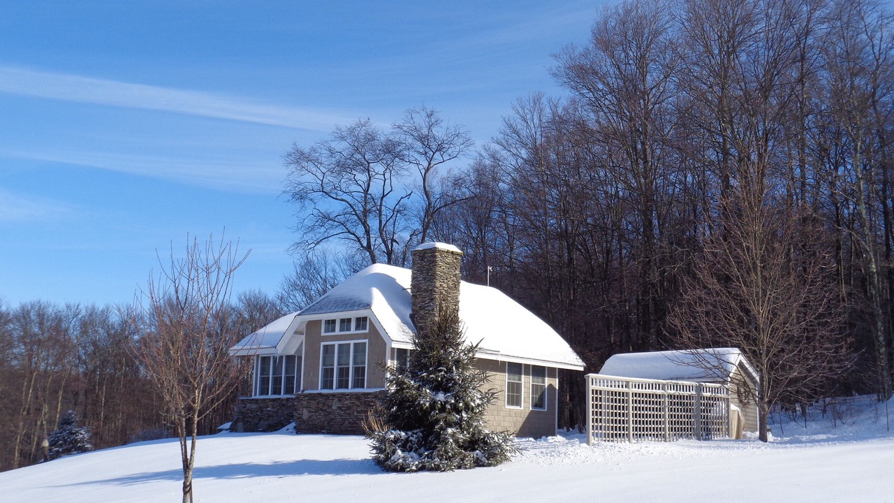 Photo of Others in Damascus