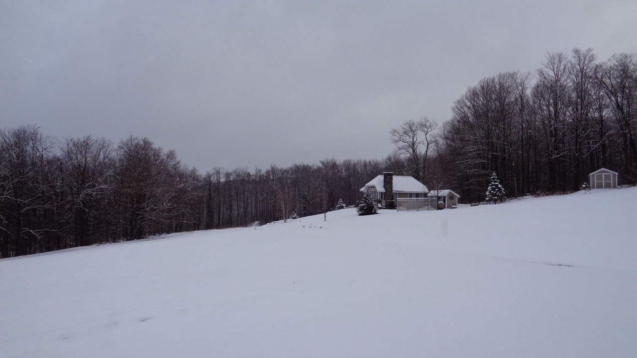 Photo of Others in Damascus