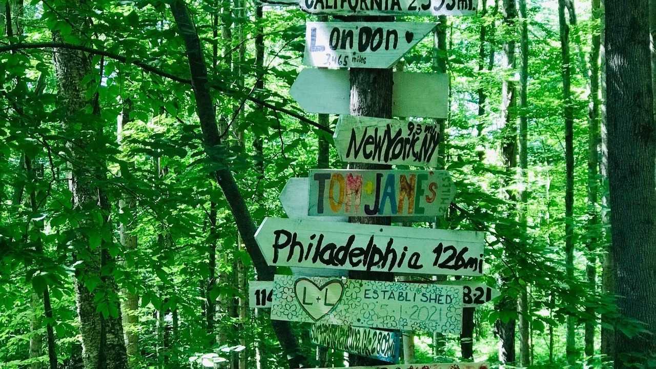 Photo of Others in Damascus