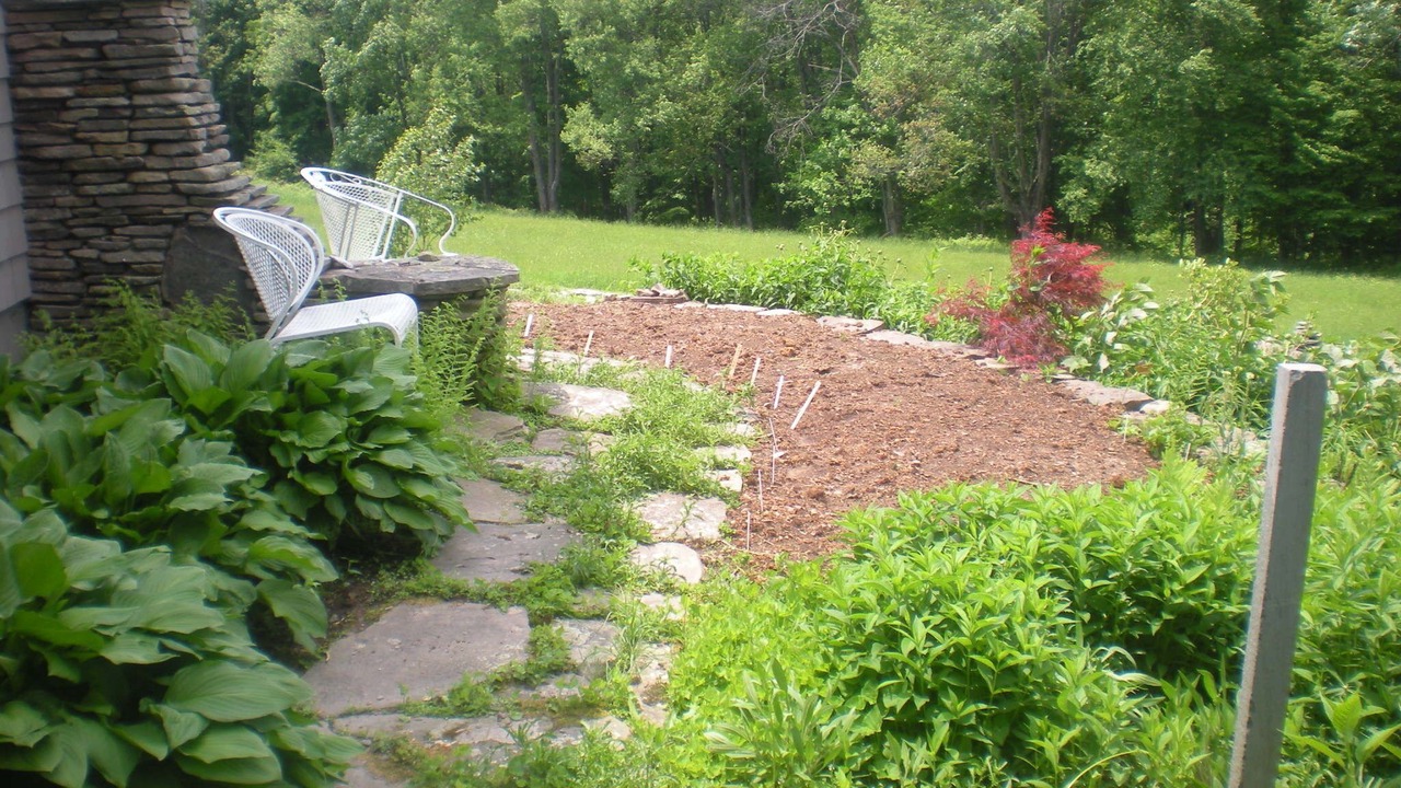 Photo of Others in Damascus