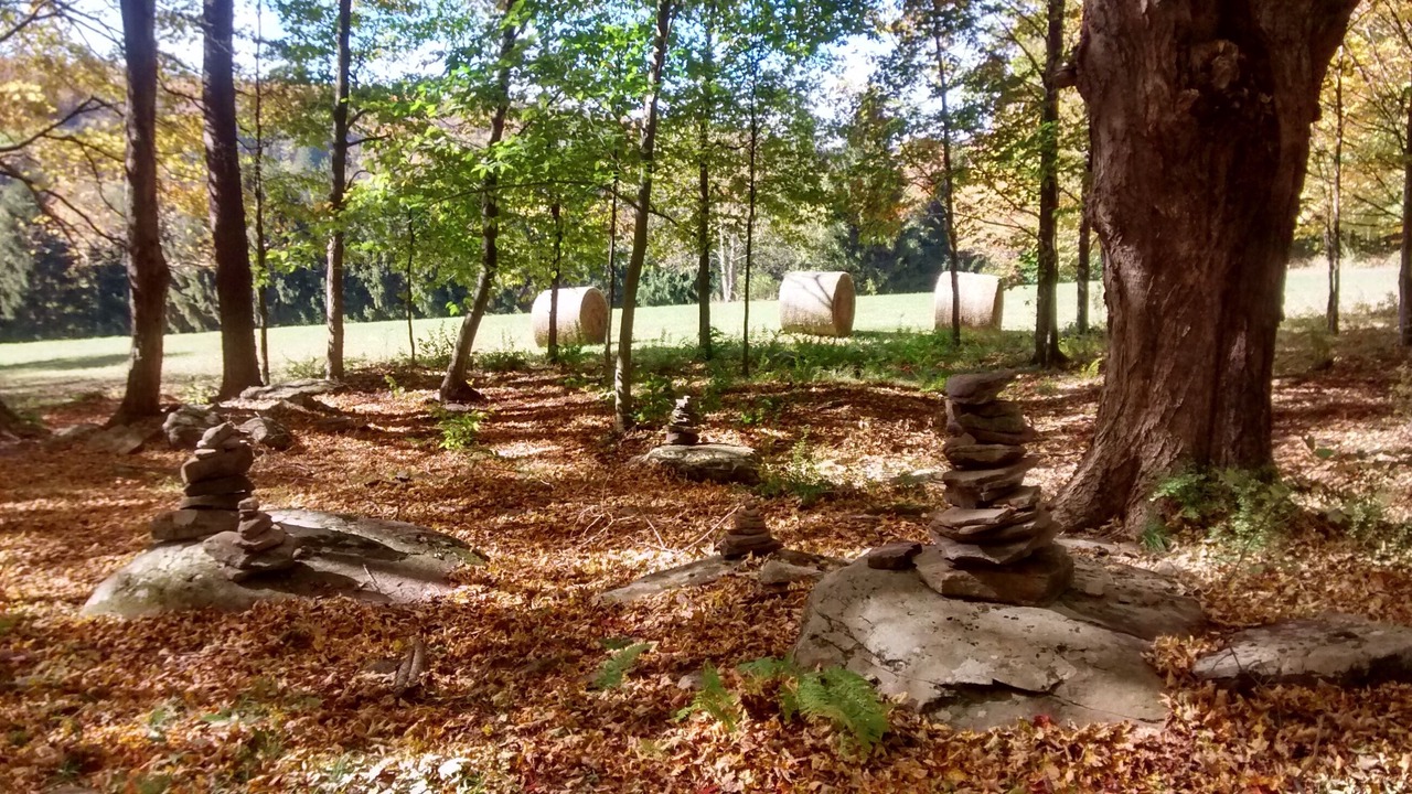 Photo of Others in Damascus