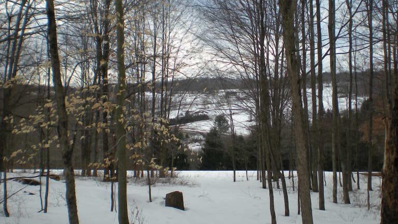 Photo of Others in Damascus