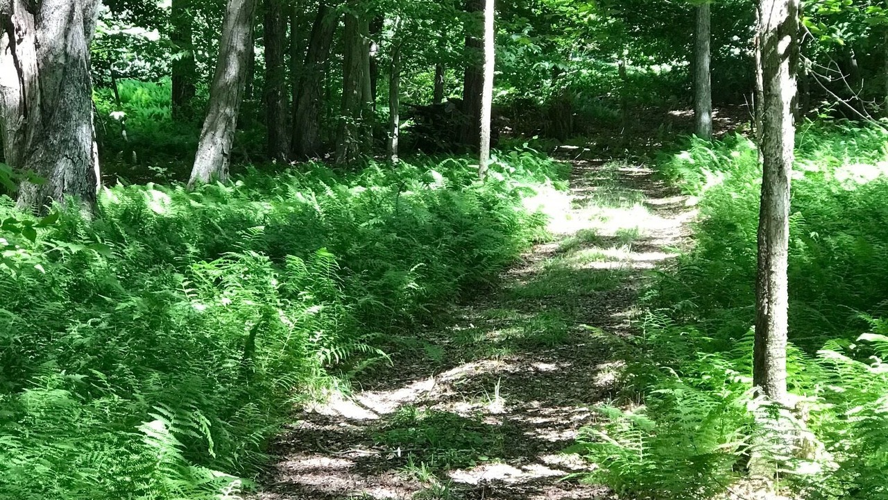 Photo of Others in Damascus