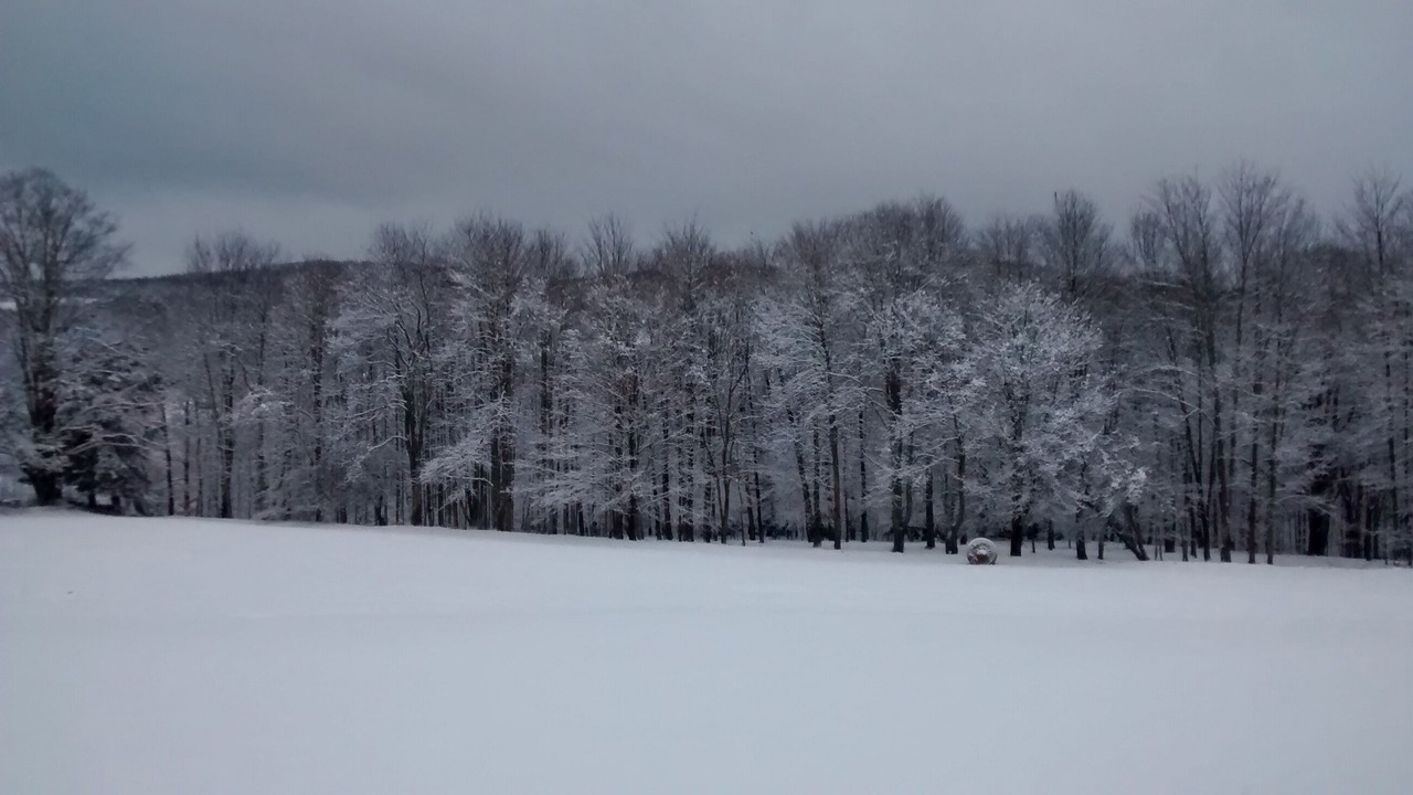 Photo of Others in Damascus