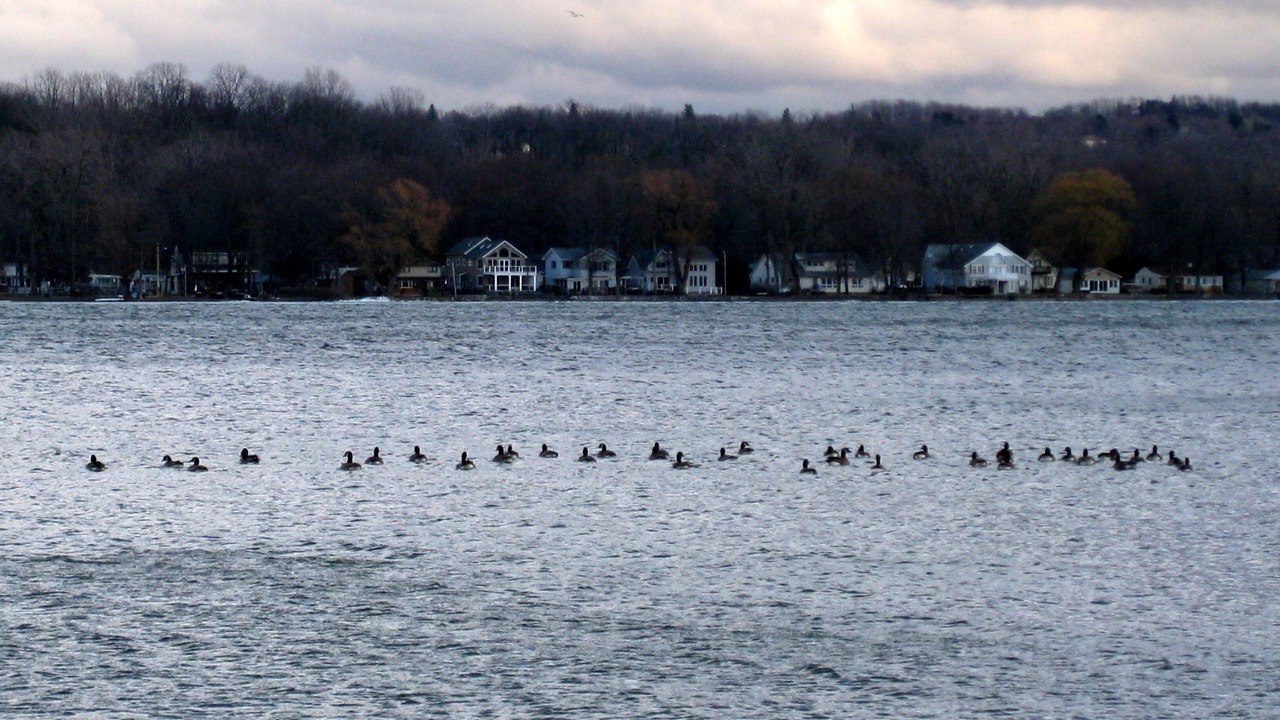 Photo of Outdoor in Lakeville