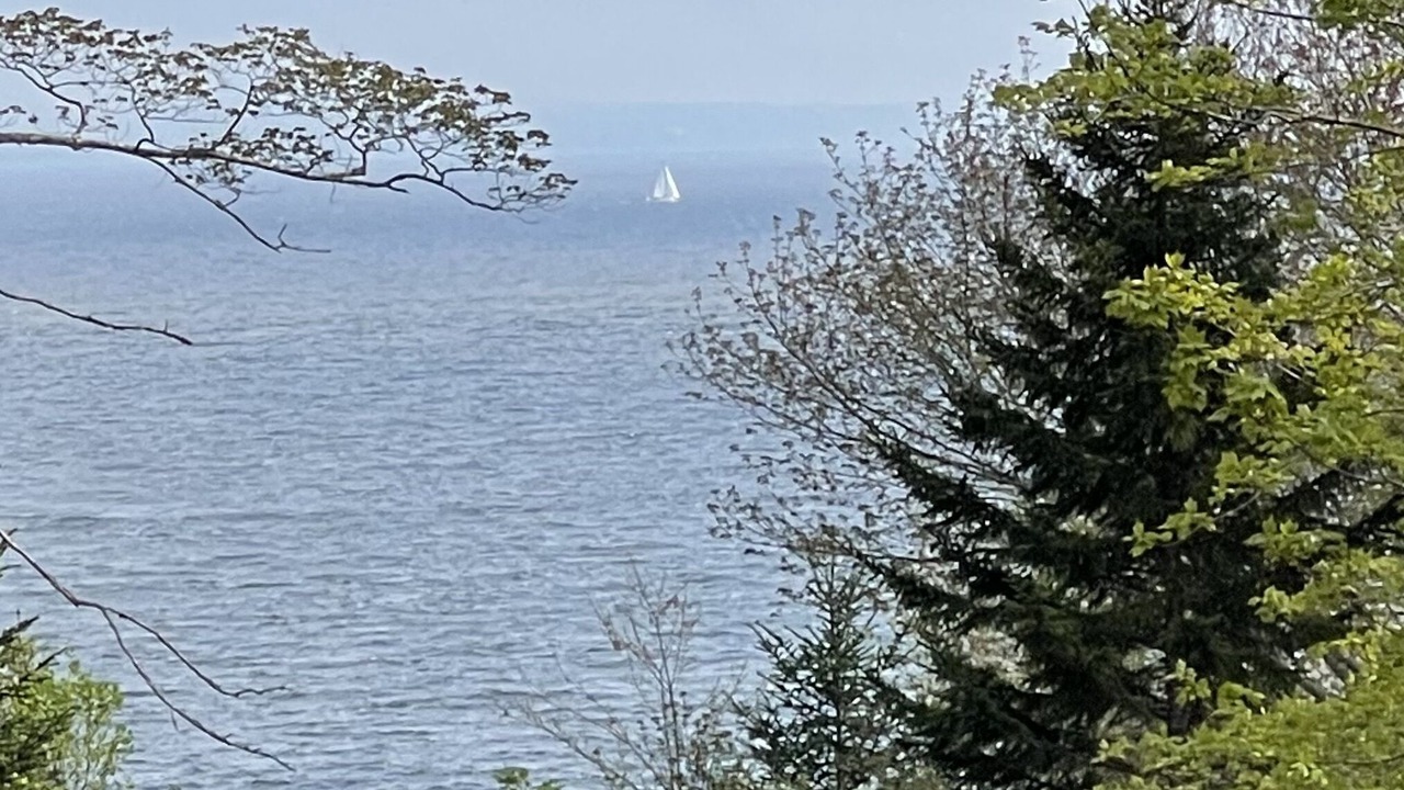 Photo of Others in Stockton Springs