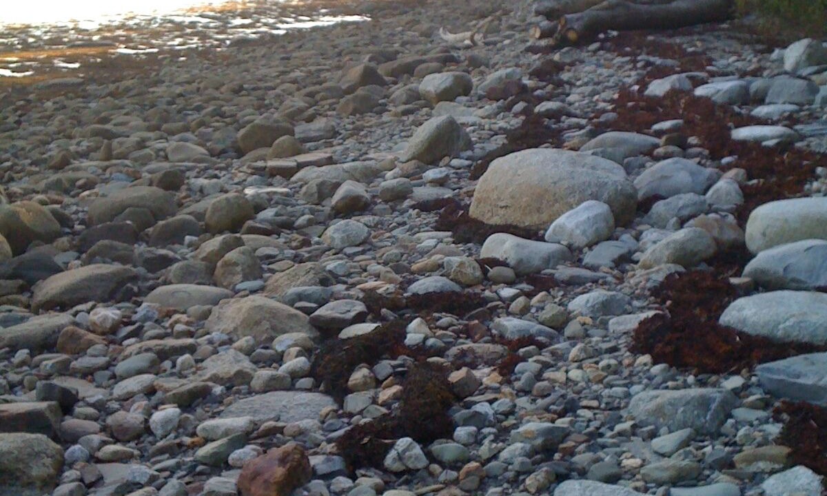 Photo of Others in Stockton Springs