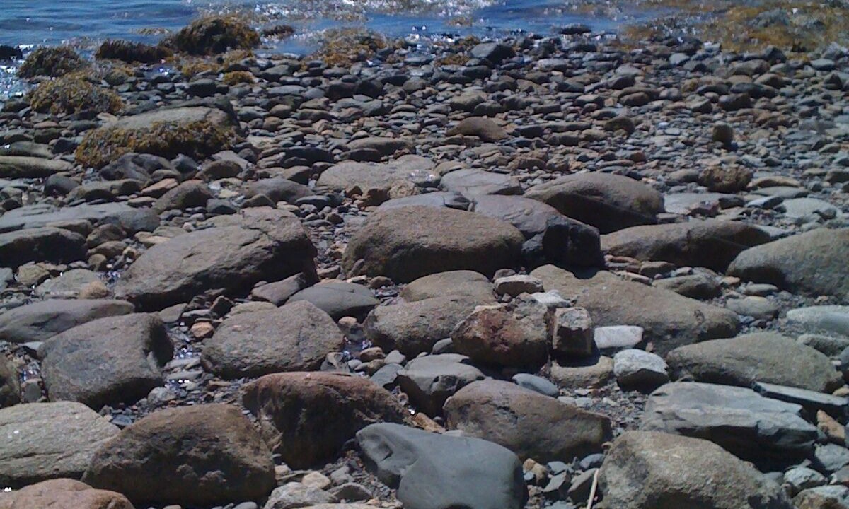 Photo of Others in Stockton Springs