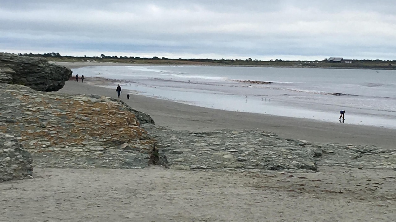Photo of Others in Newport East