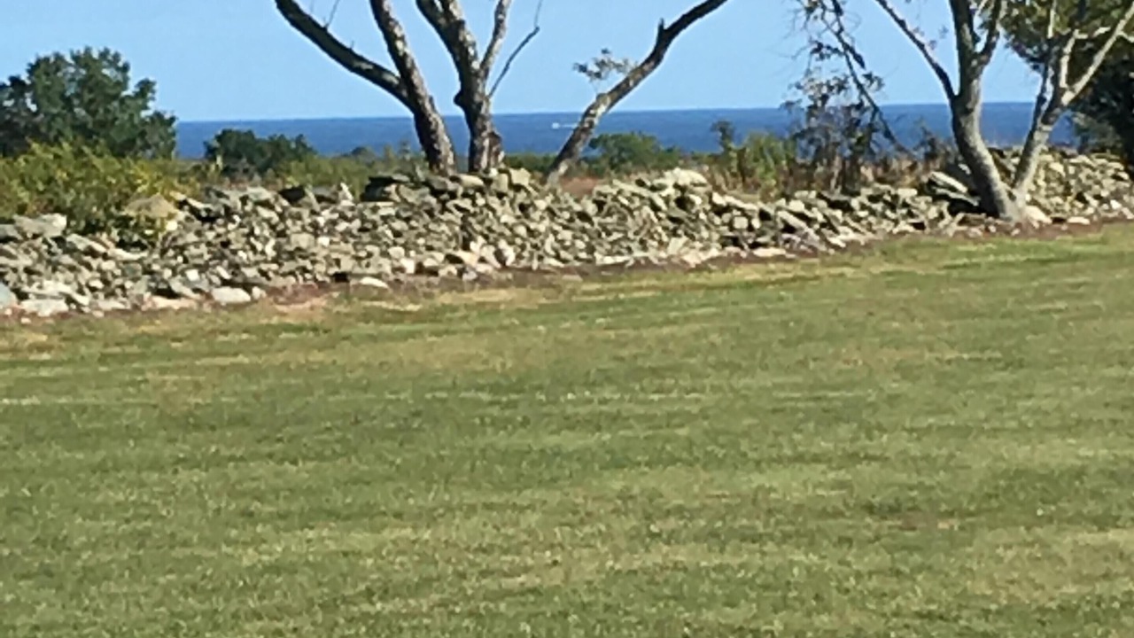 Photo of Others in Newport East