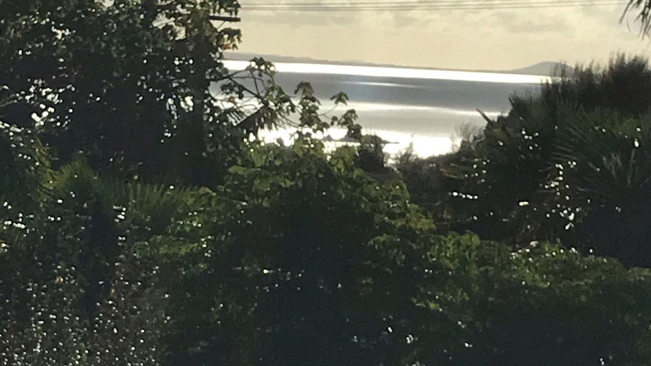 Photo of Others in Mangonui