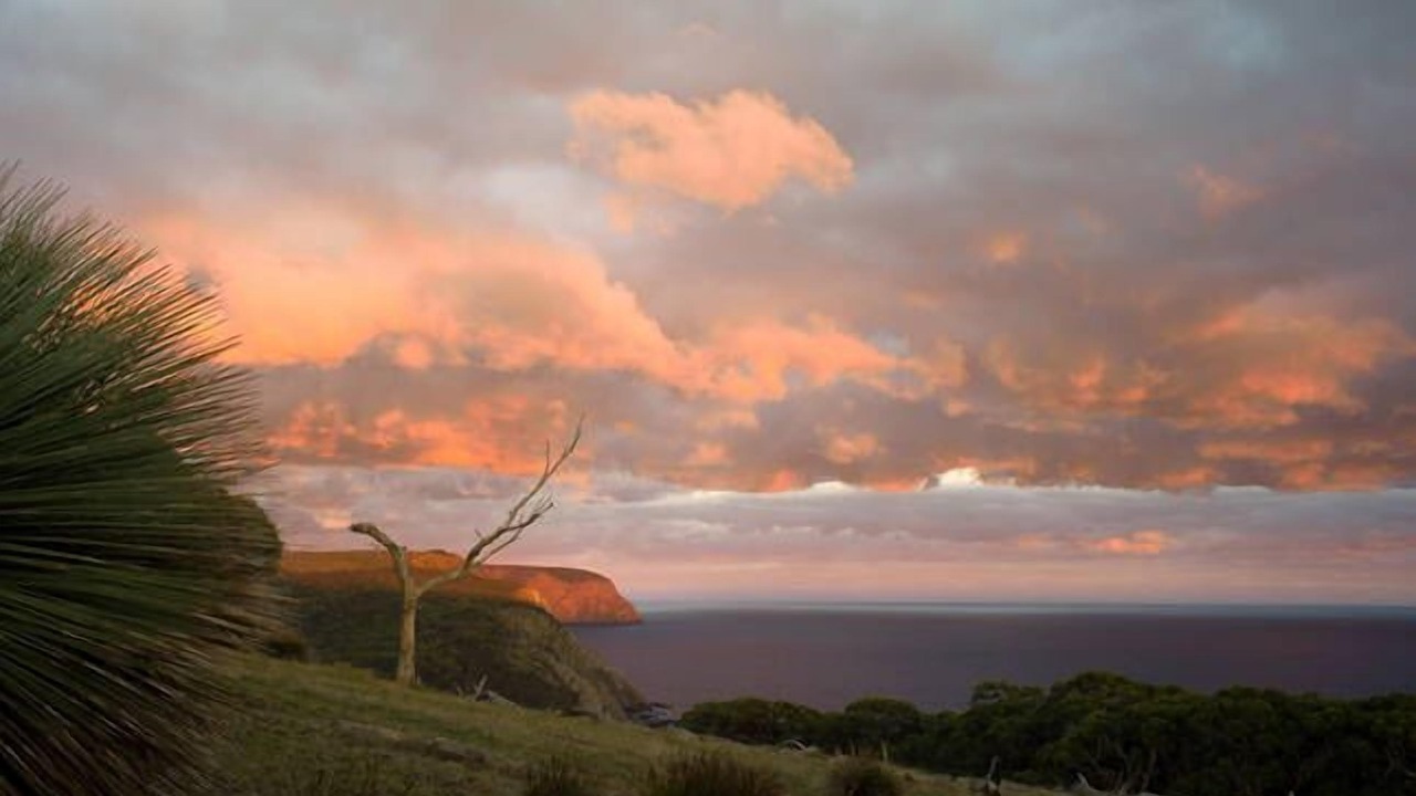 Photo of Others in De Mole River
