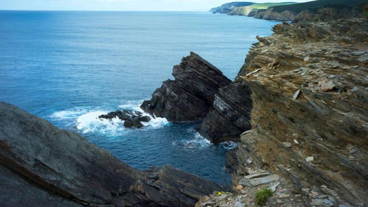 Photo of Others in De Mole River