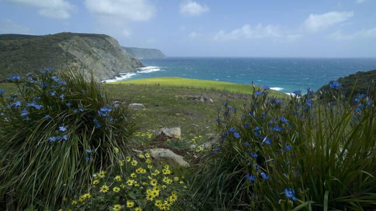 Photo of Outdoor in De Mole River