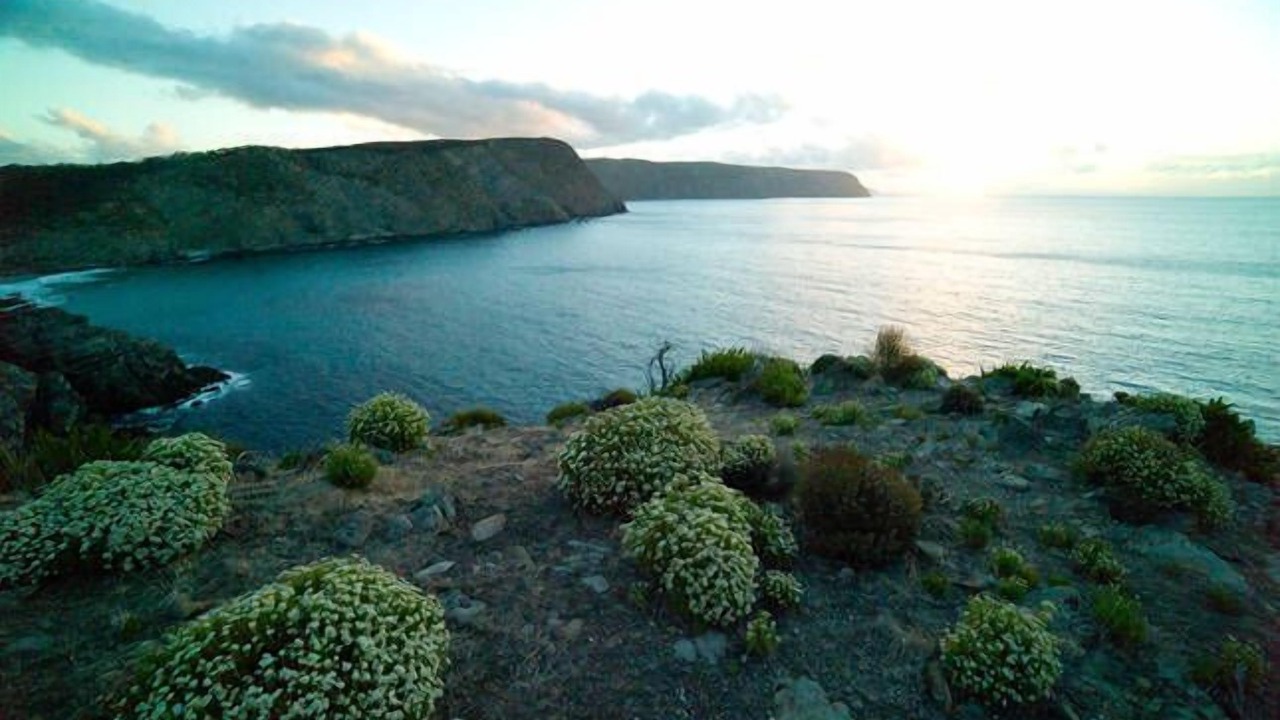 Photo of Others in De Mole River