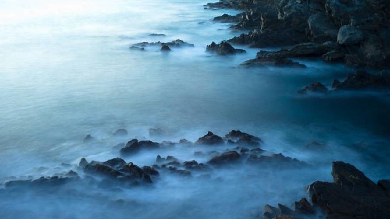 Photo of Others in De Mole River