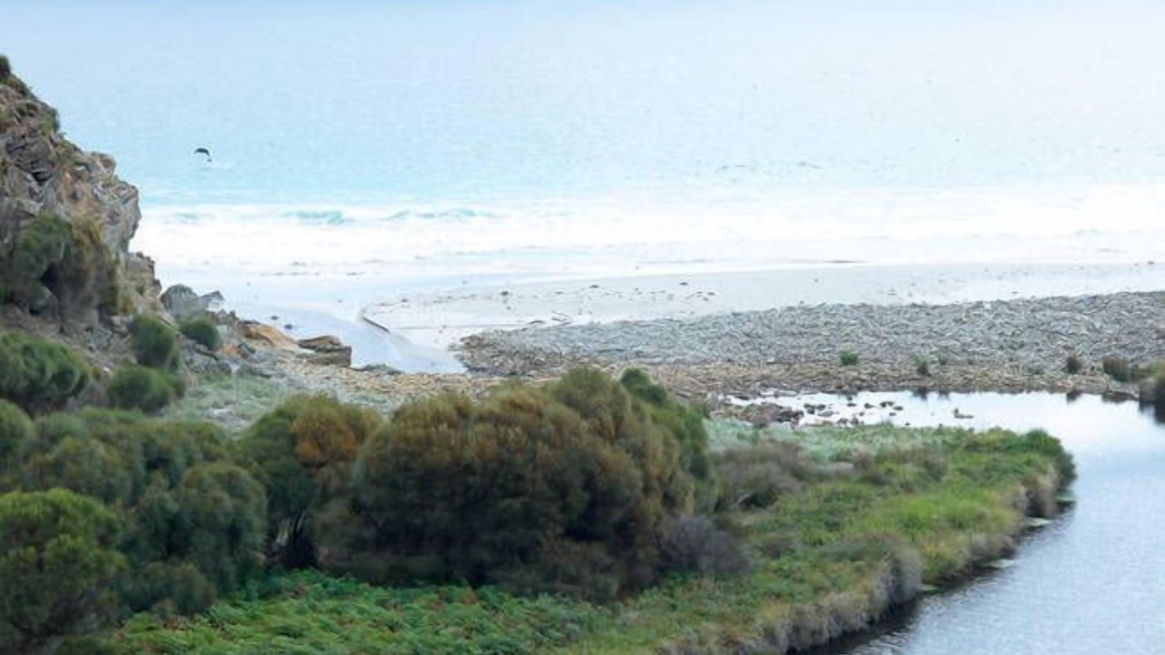 Photo of Others in De Mole River