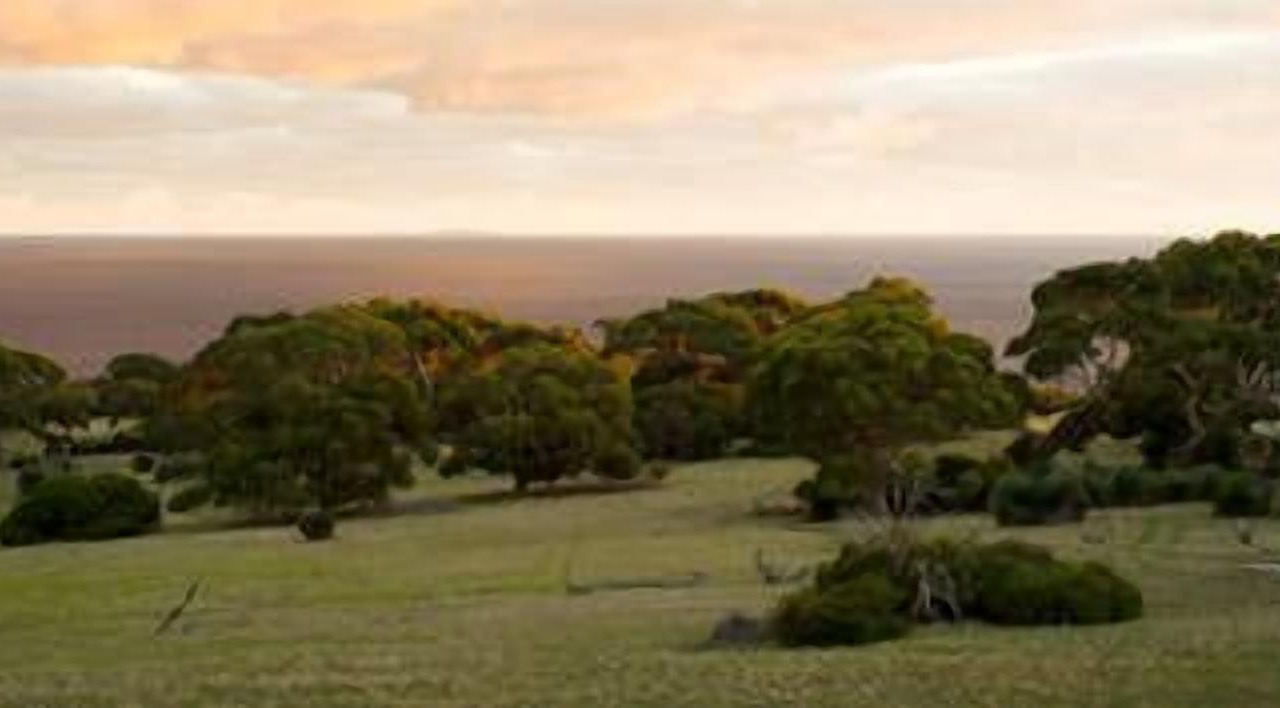 Photo of Outdoor in De Mole River