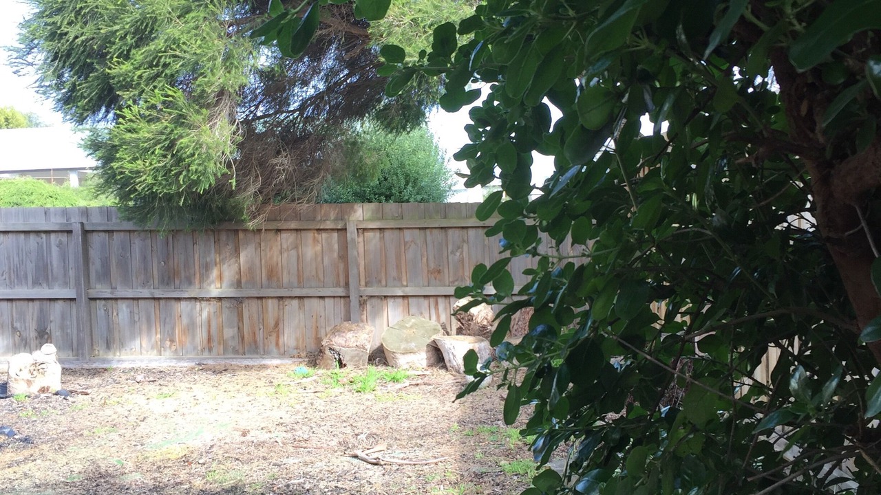 Photo of Outdoor in Anglesea