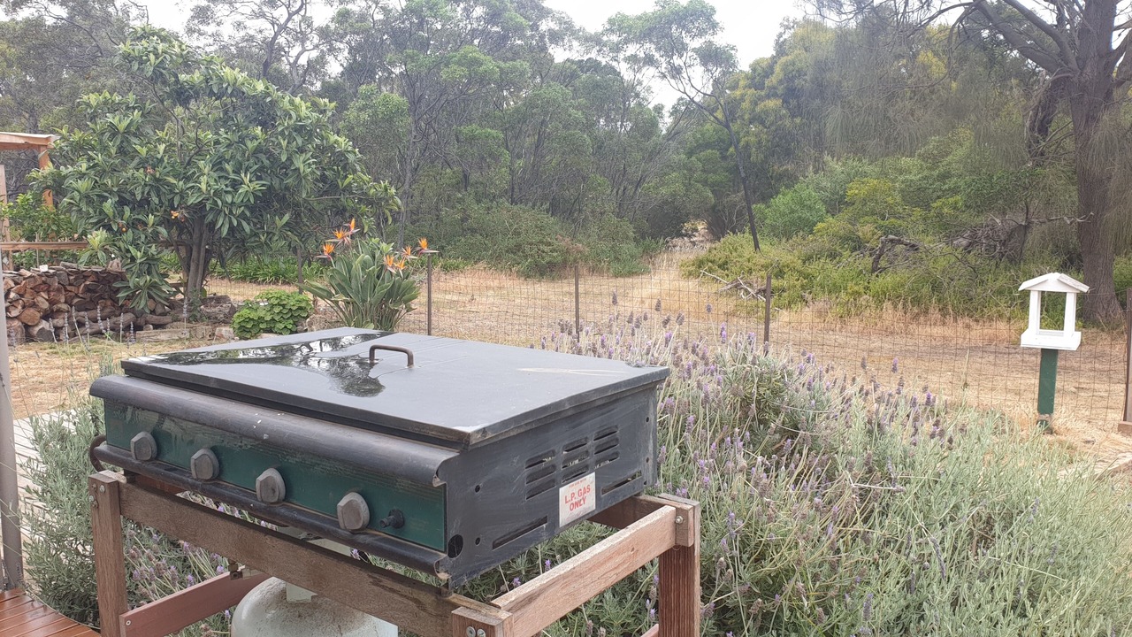 Photo of Others in St Leonards