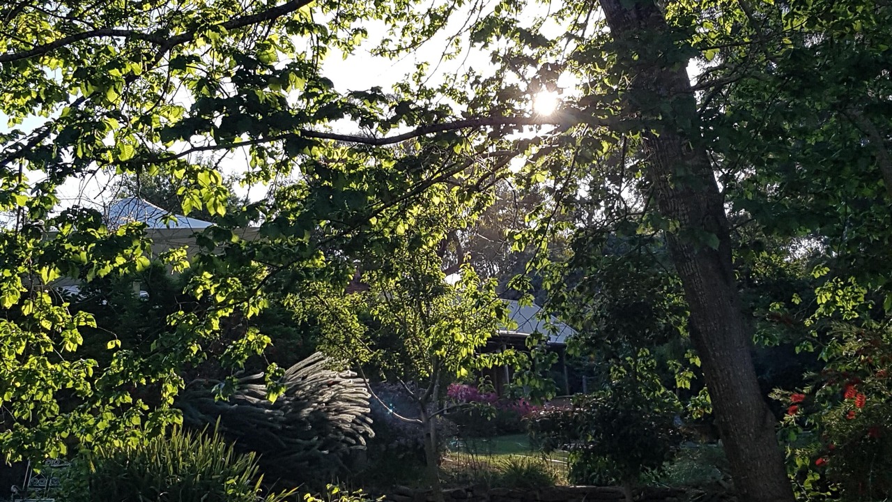 Photo of Outdoor in Talunga