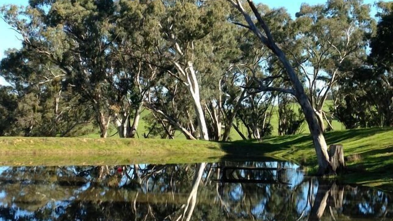 Photo of Others in Talunga