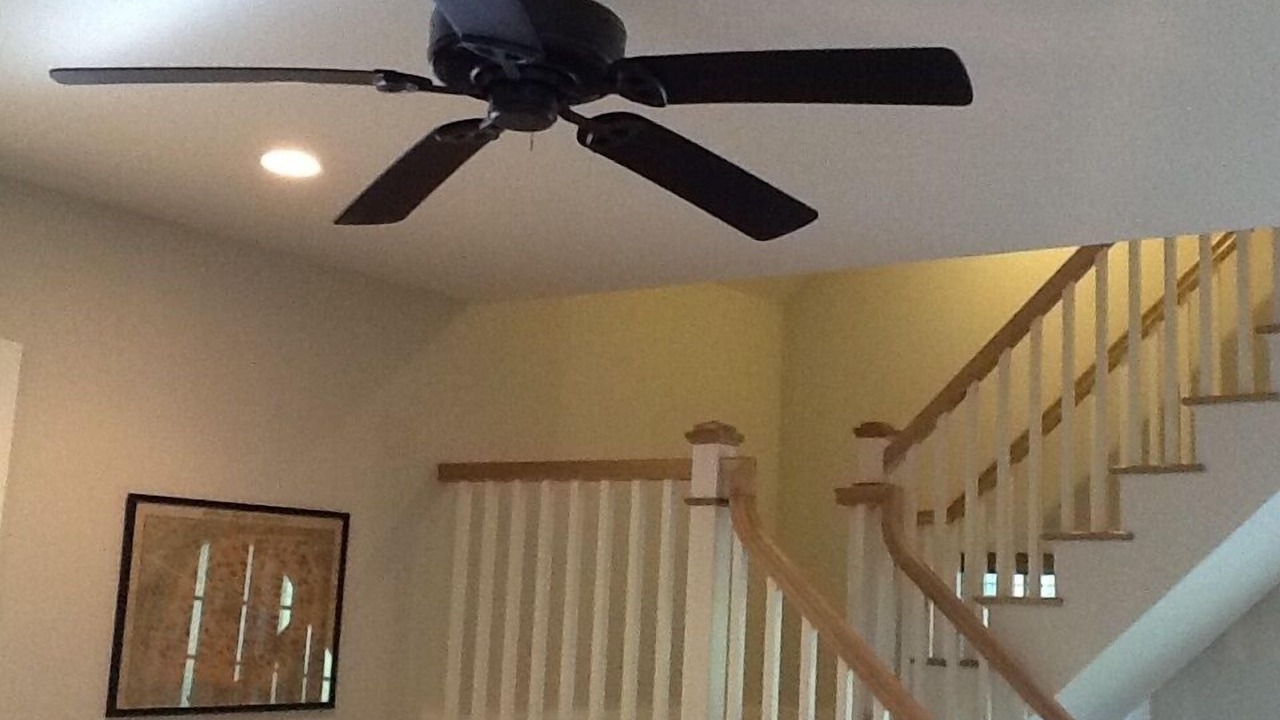 Photo of Others in Sag Harbor