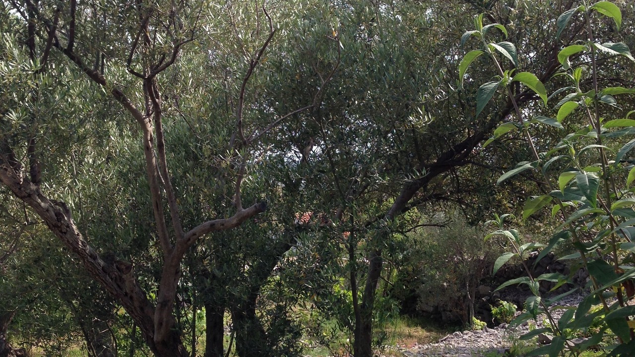 Photo of Outdoor in Kornic