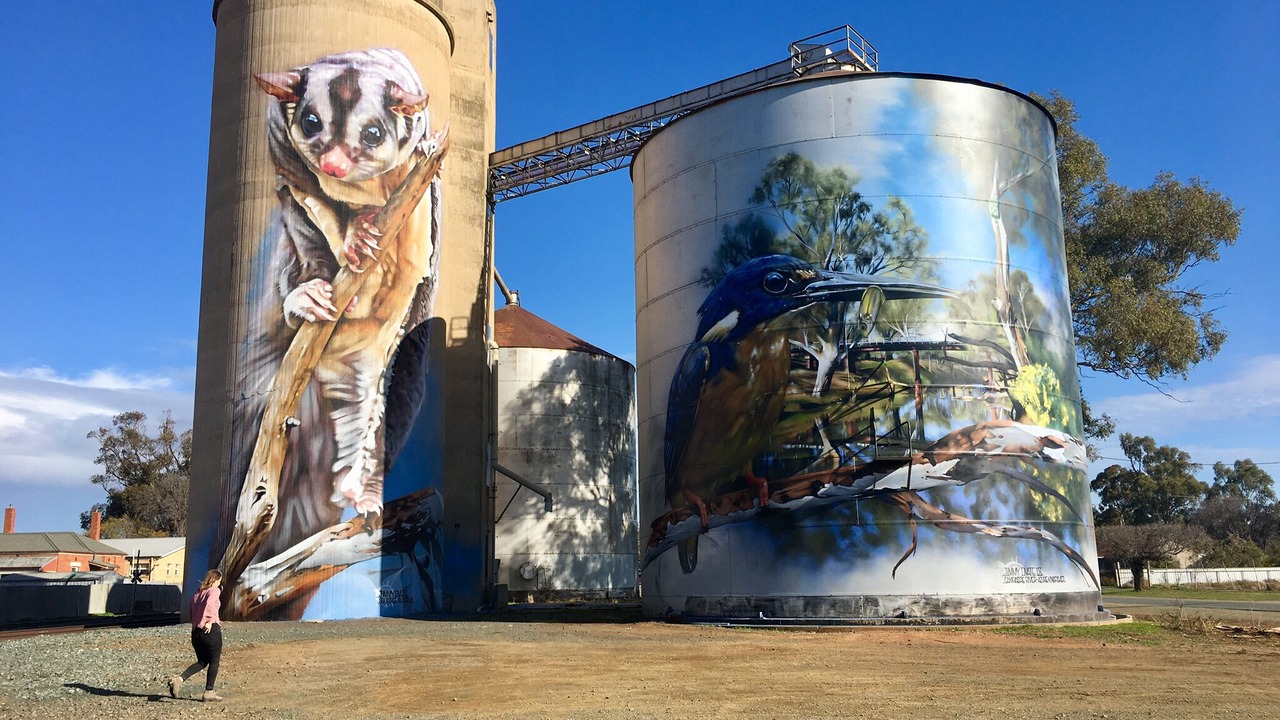 Photo of Others in Echuca