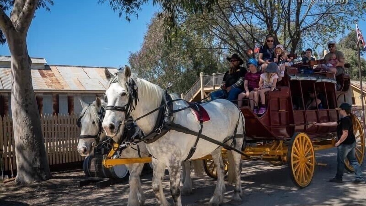 Photo of Others in Echuca