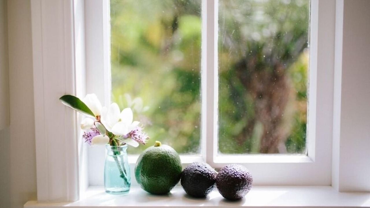 Photo of Others in Whangamata