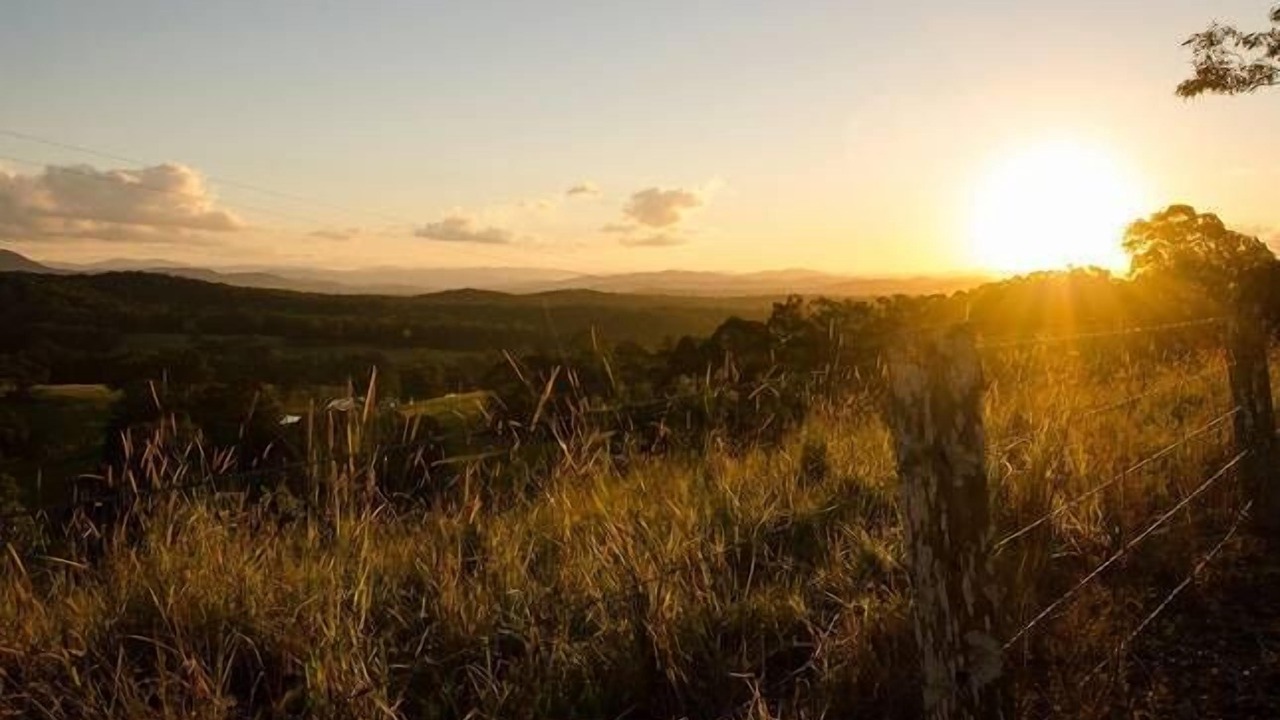 Photo of Others in Minimbah