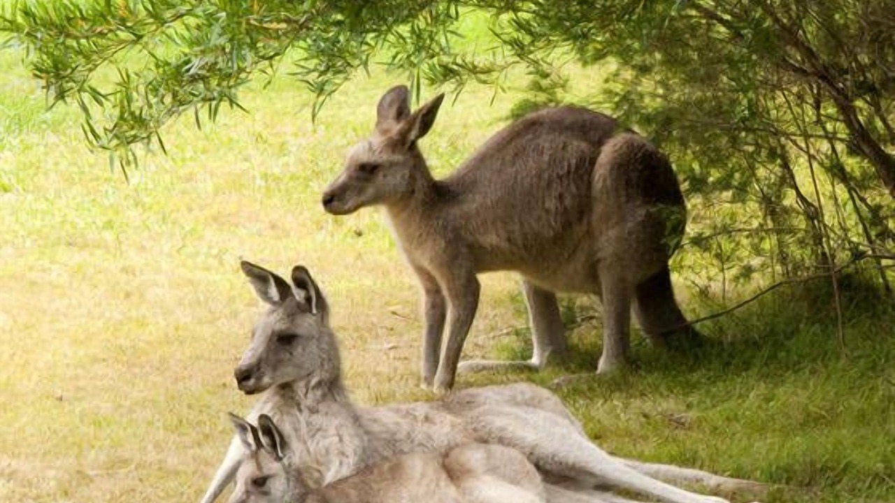 Photo of Outdoor in Gipsy Point