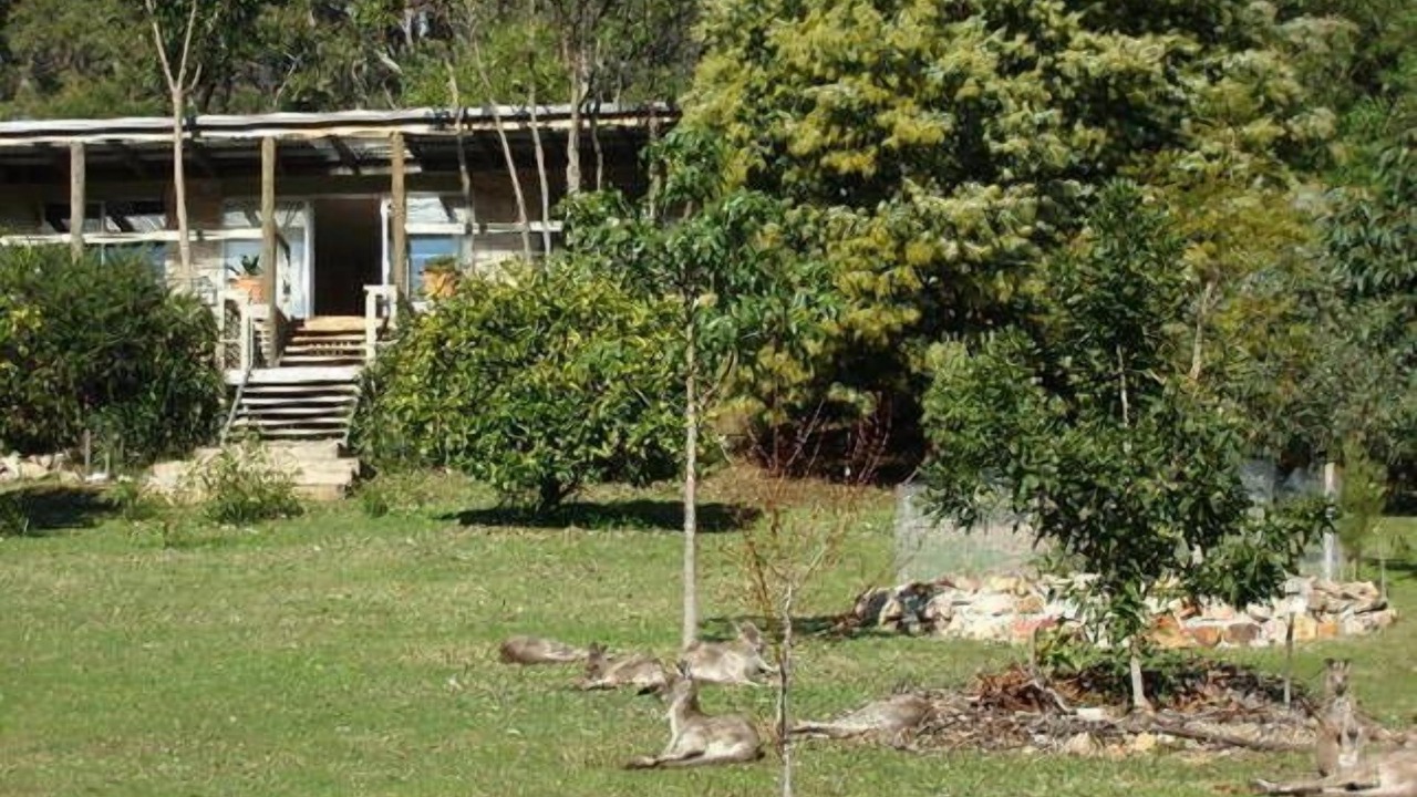 Photo of Outdoor in Gipsy Point