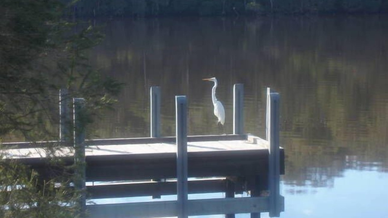 Photo of Outdoor in Gipsy Point