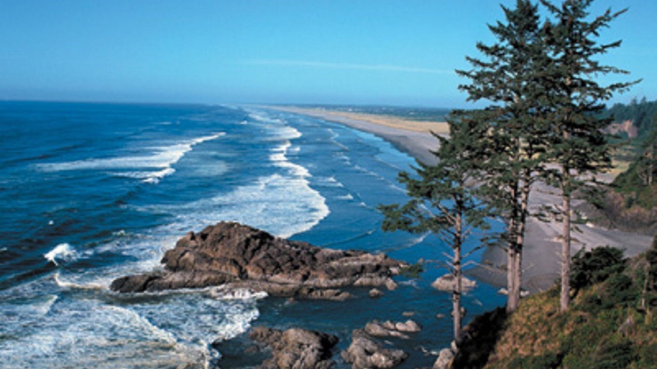 Photo of Others in Ocean Park