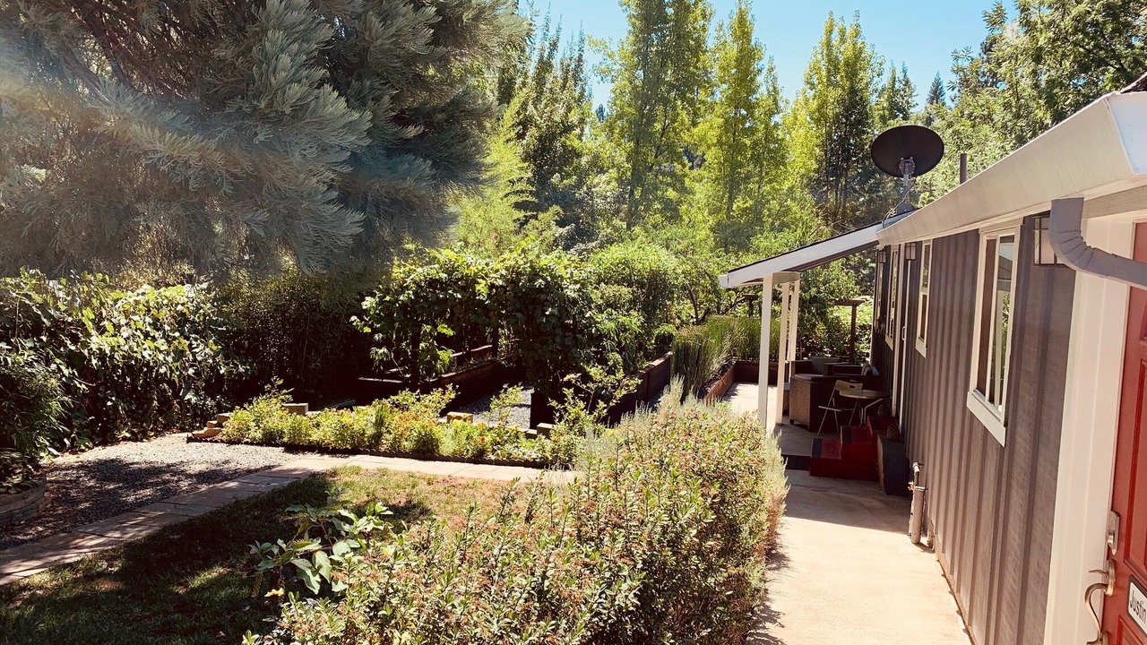 Photo of Outdoor in Grass Valley