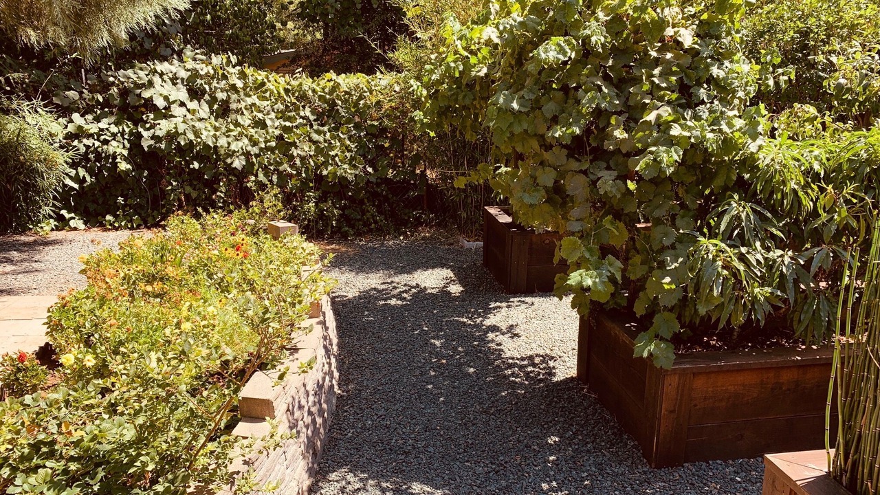 Photo of Outdoor in Grass Valley