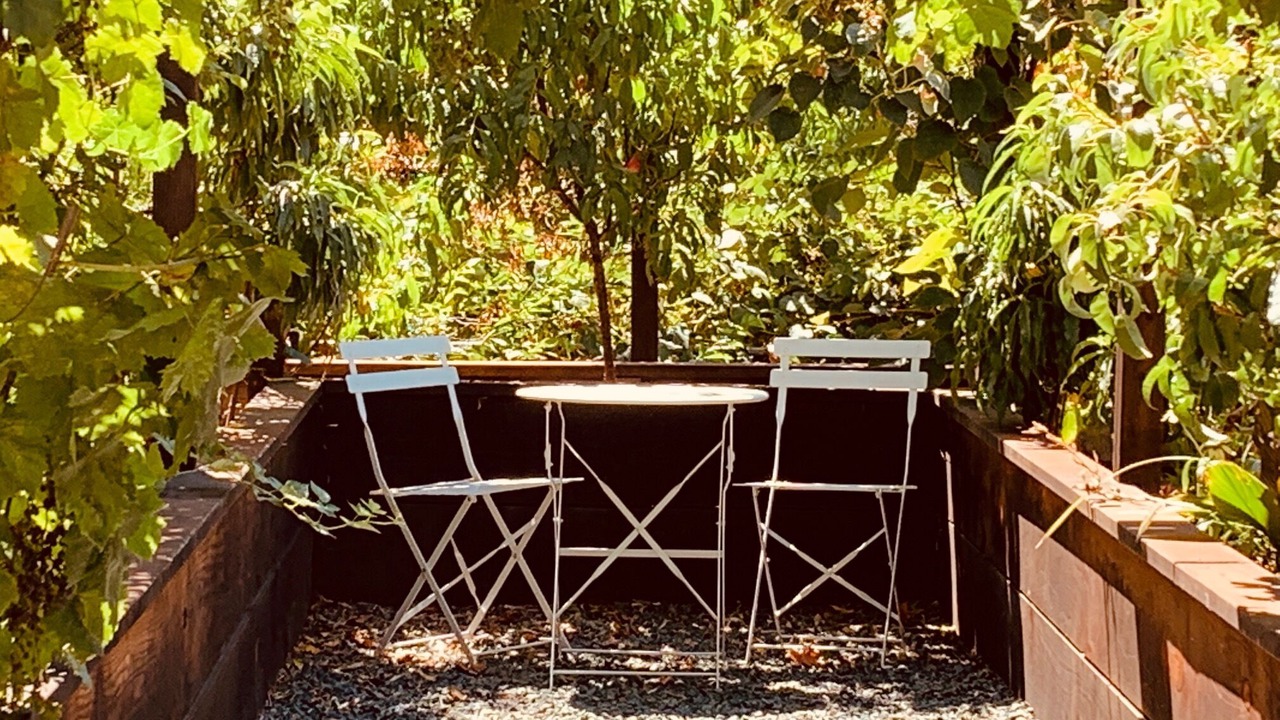 Photo of Outdoor in Grass Valley