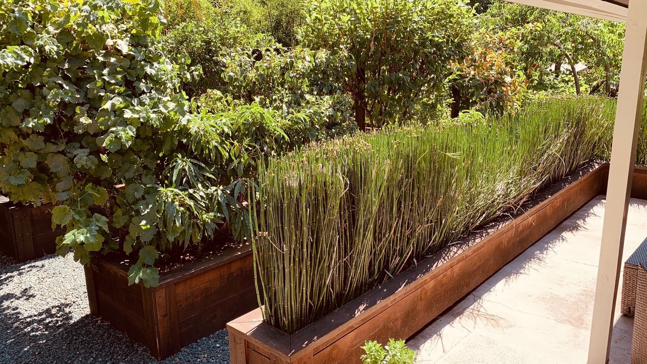 Photo of Outdoor in Grass Valley