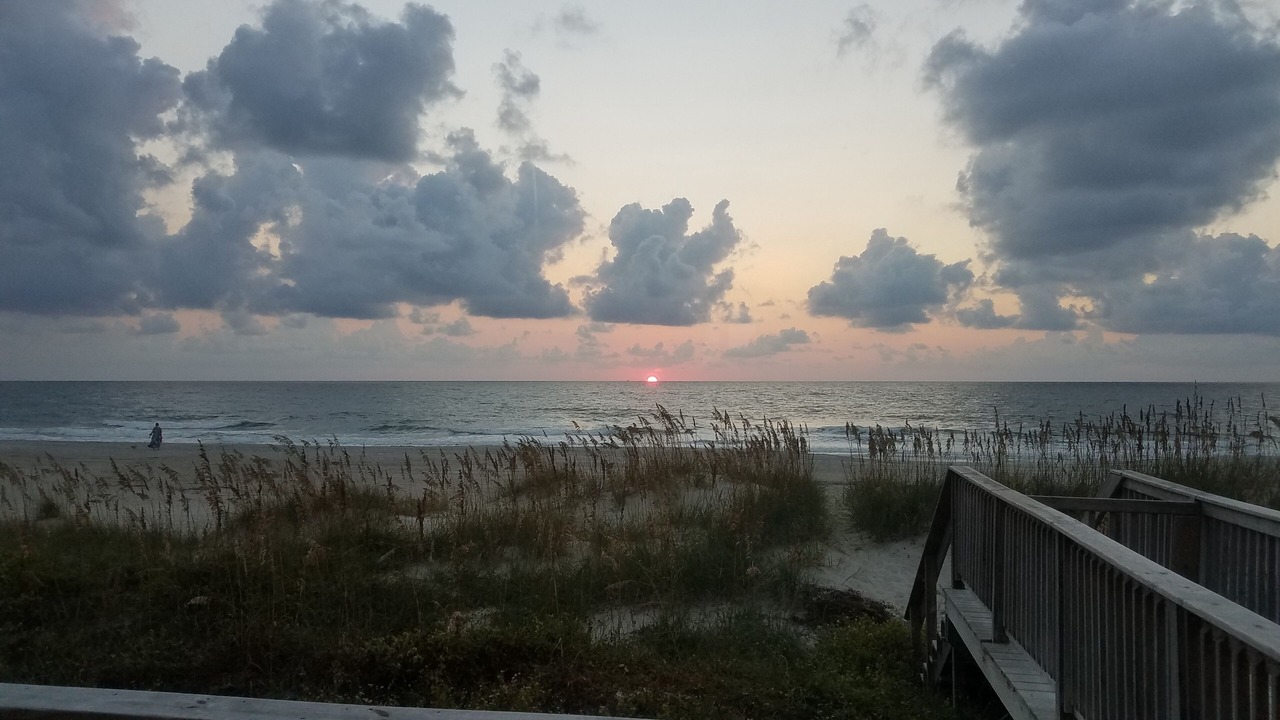 Photo of Others in Ocean Cay