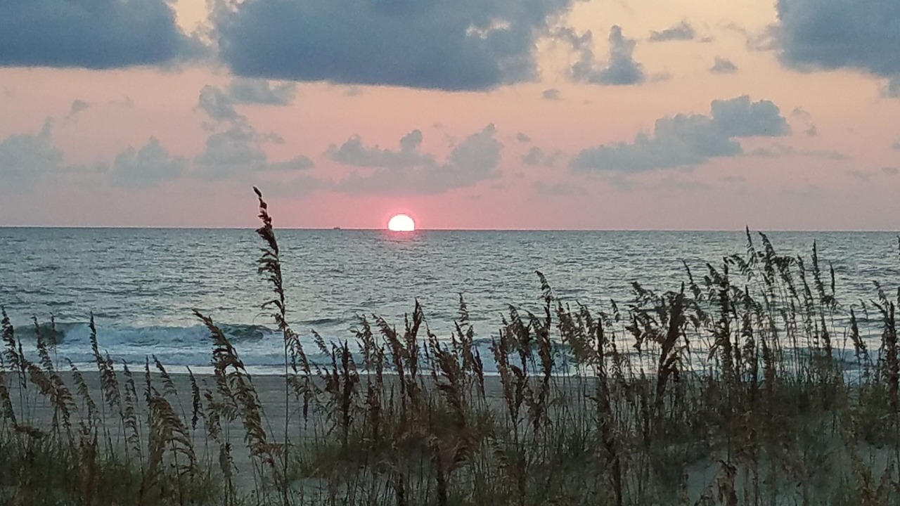 Photo of Others in Ocean Cay