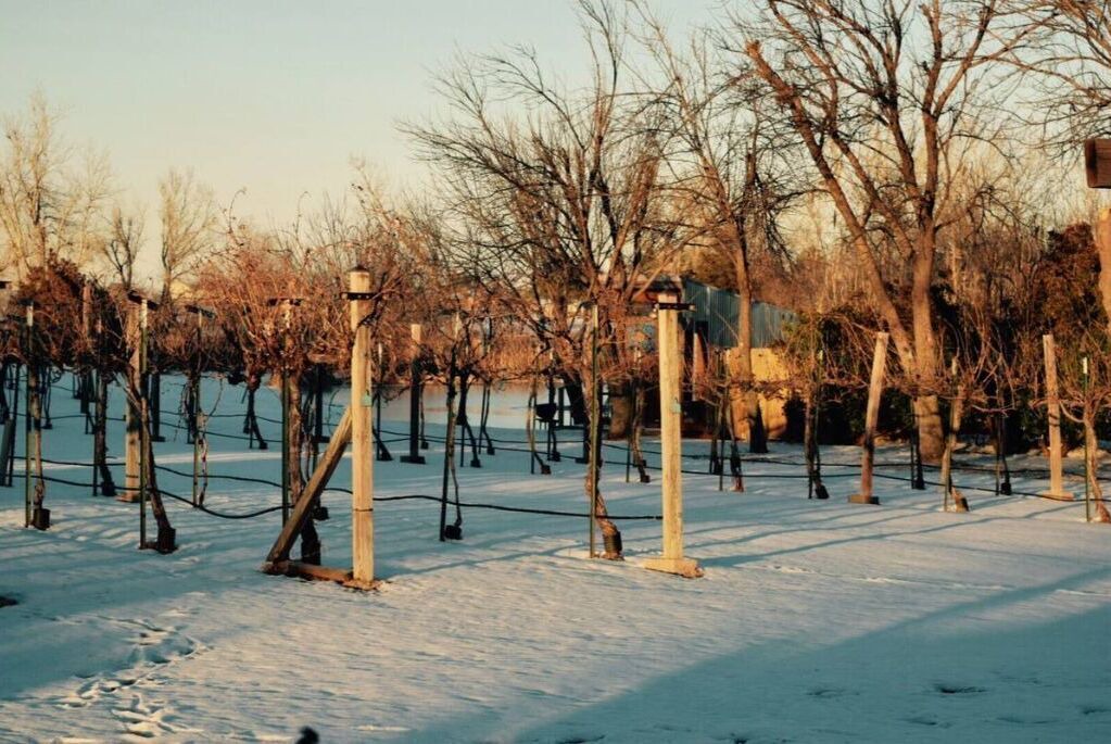 Photo of Others in Edmond