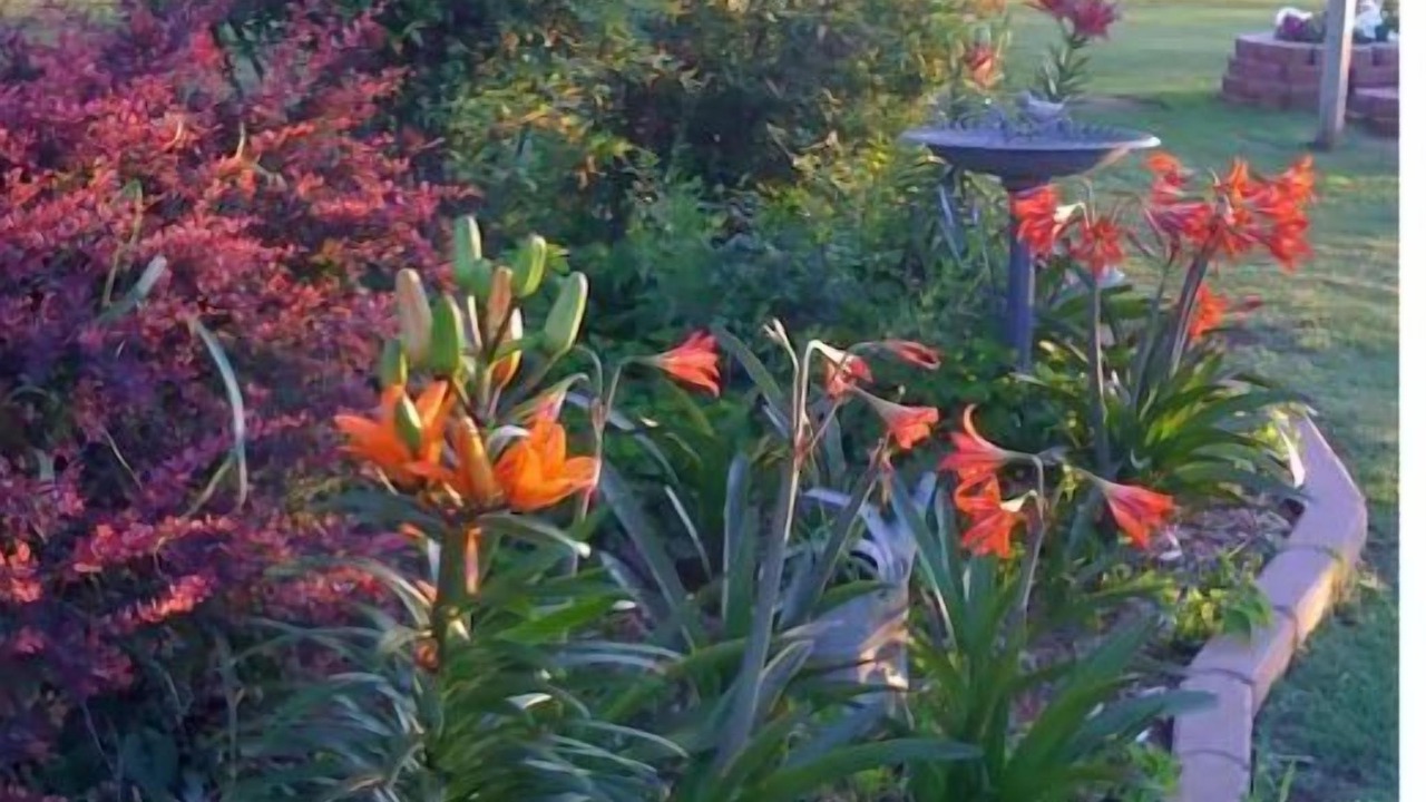 Photo of Outdoor in Edmond