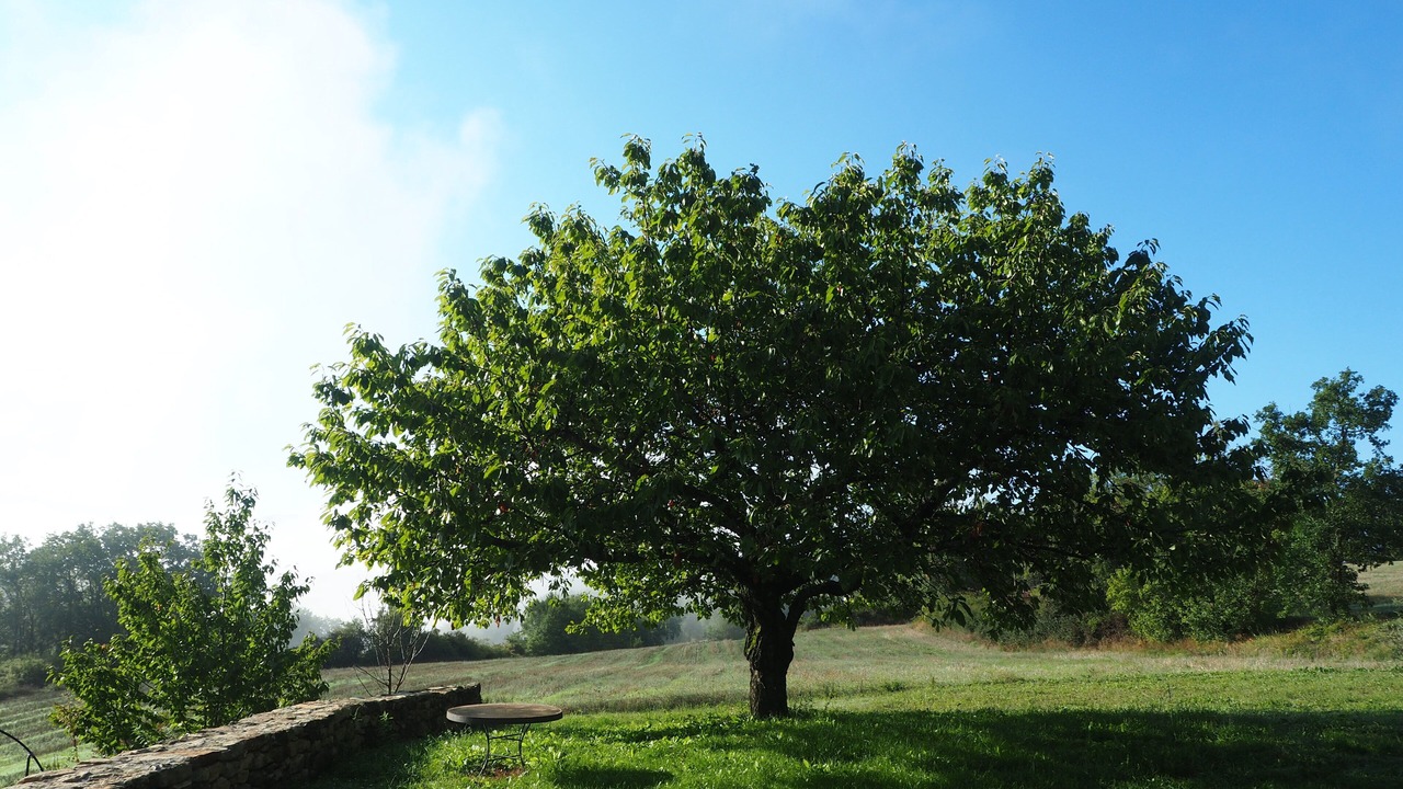 Photo of Outdoor in Saint-Michel-l'Observatoire