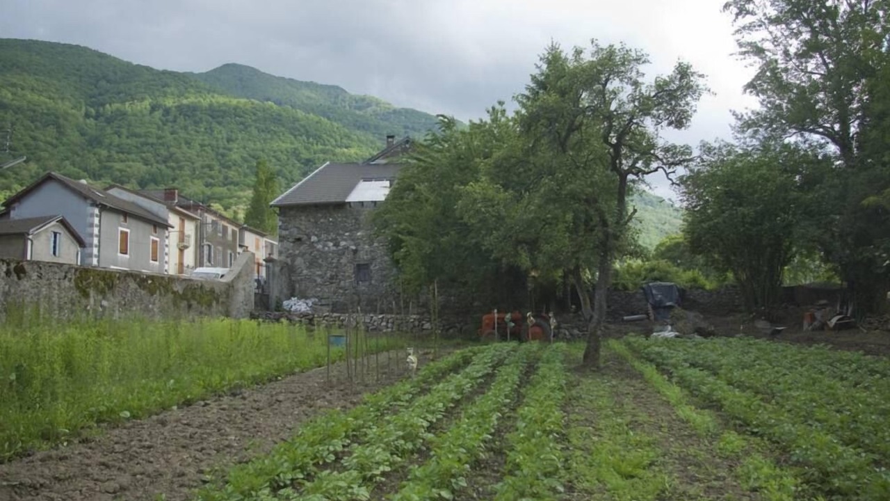 Photo of Outdoor in Capoulet-et-Junac