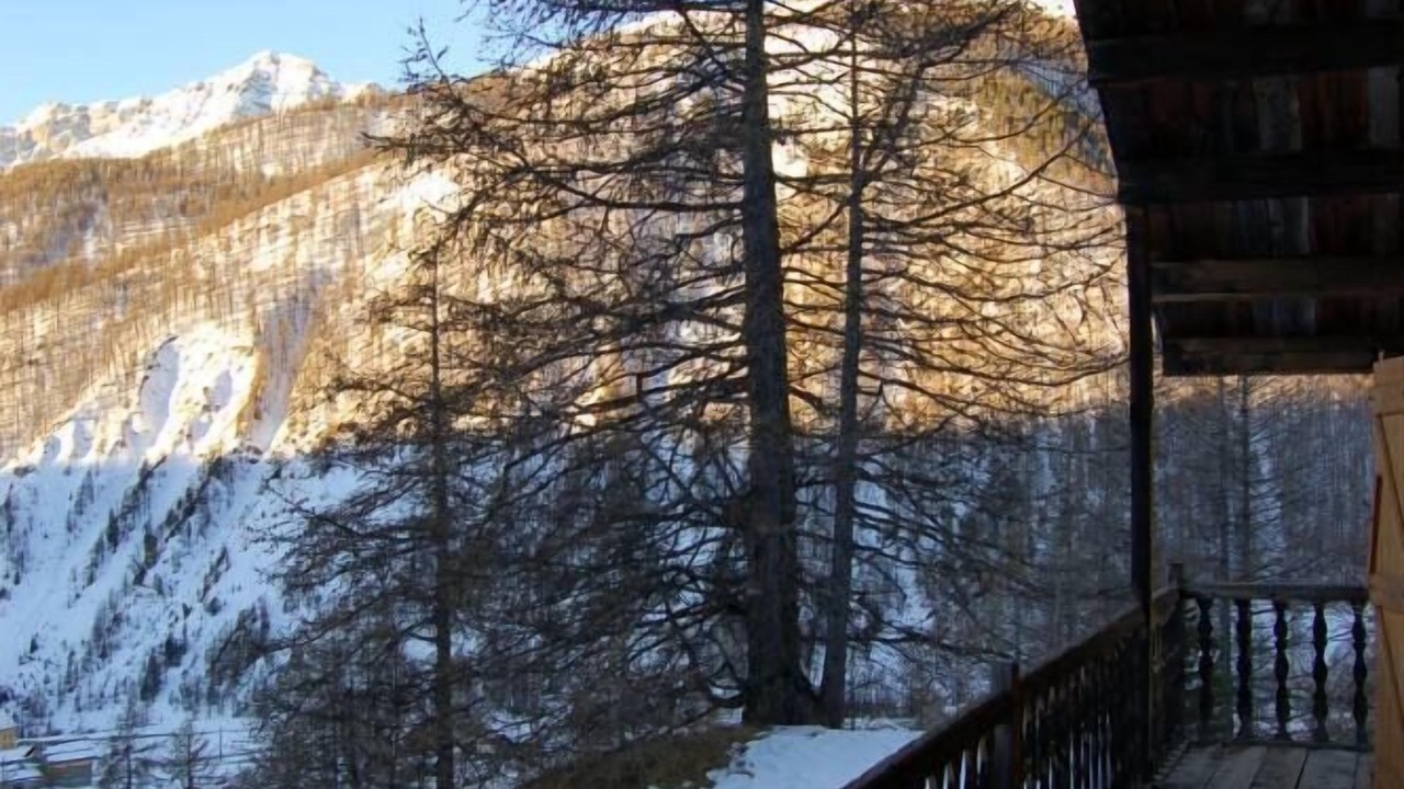 Photo of Patio Balcony in Arvieux