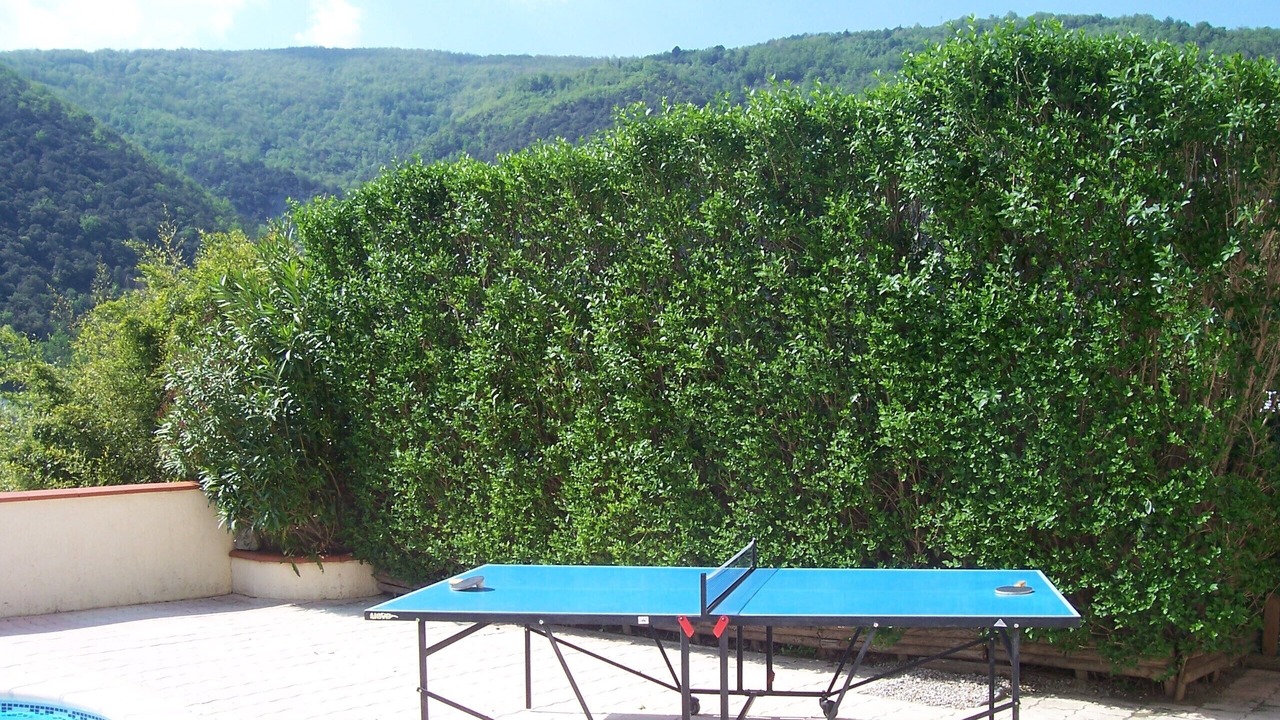 Photo of Outdoor in Arles-sur-Tech