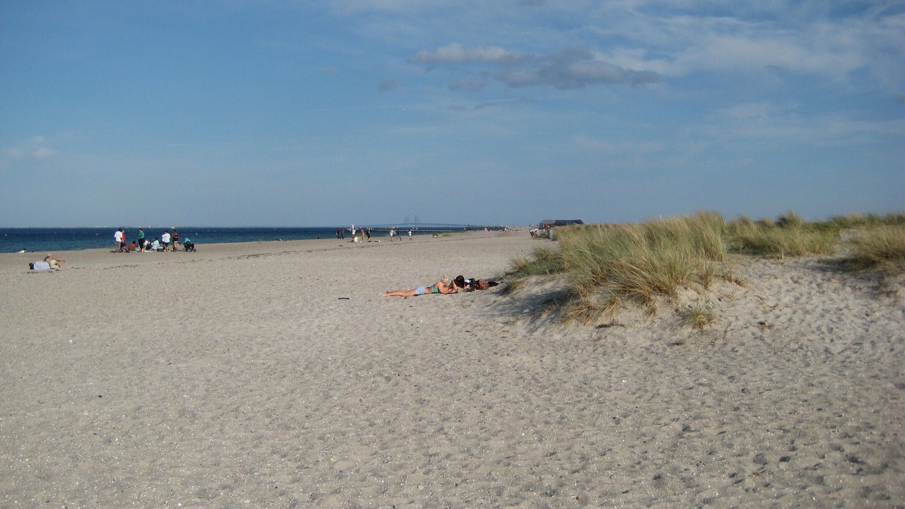 Photo of Others in Amager