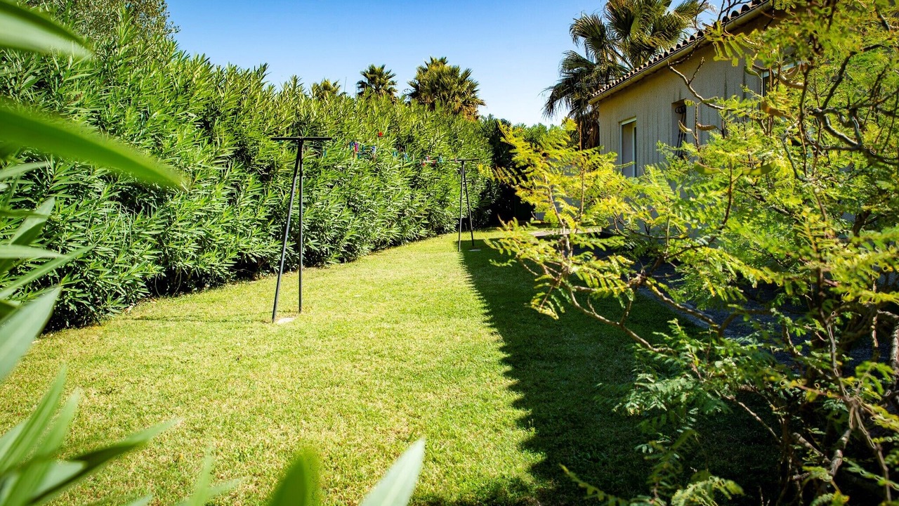 Photo of Outdoor in Saint-Cyprien